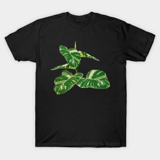 Epipremnum aureum plant T-Shirt